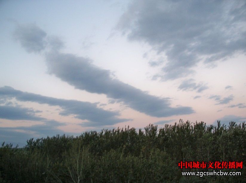 120131019193331.jpg