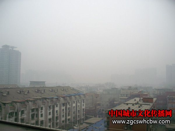 100_7817_meitu_2.jpg