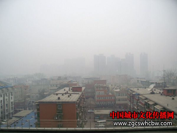 100_7815_meitu_1.jpg