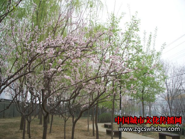 100_7819_meitu_3.jpg