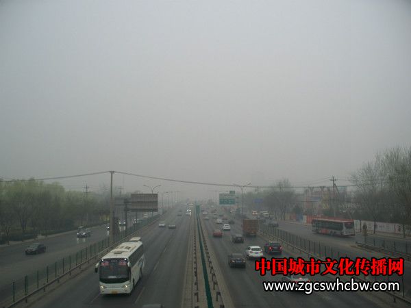 100_7823_meitu_5.jpg