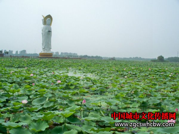 100_8363_meitu_67.jpg