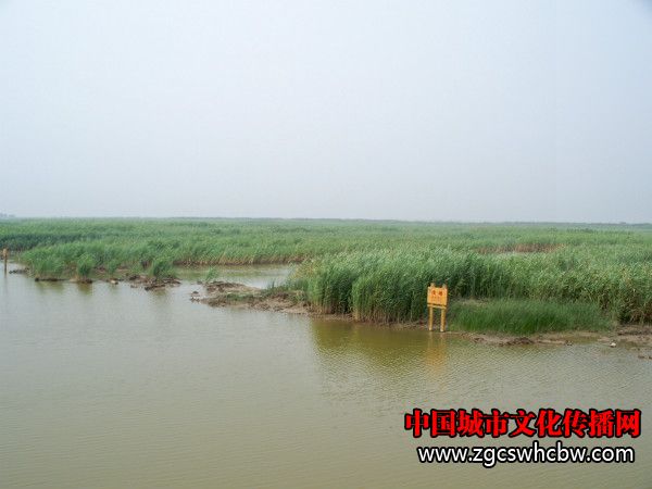 100_8429_meitu_10.jpg