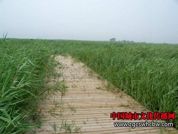 100_8414_meitu_8.jpg
