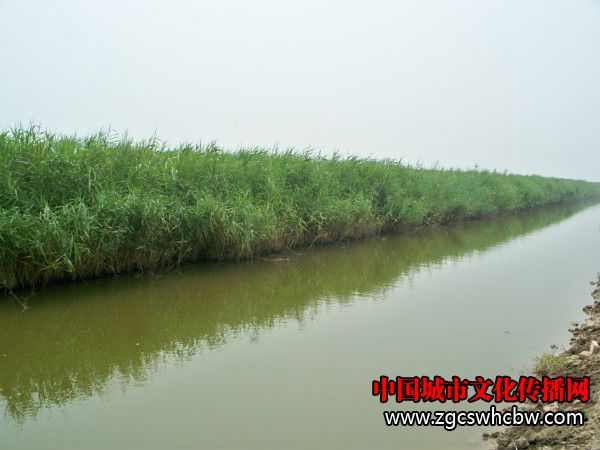 100_8454_meitu_17.jpg
