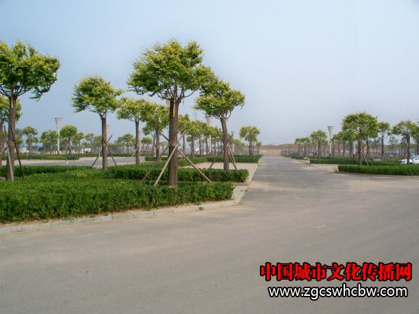 100_8470_meitu_20.jpg