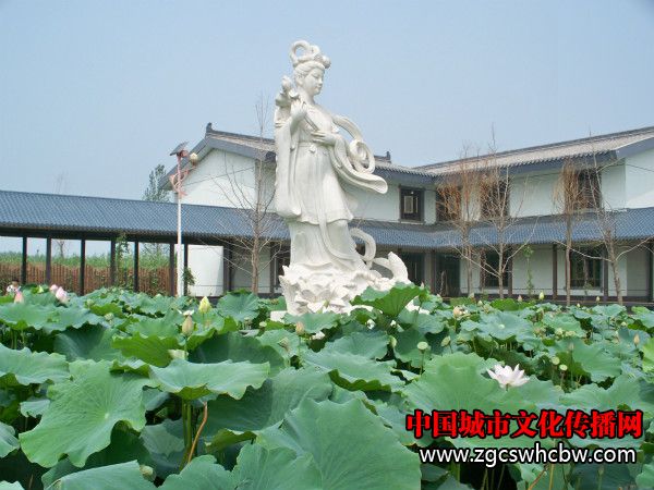 100_8309_meitu_53.jpg