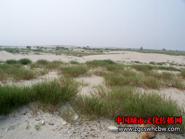 100_8464_meitu_19.jpg