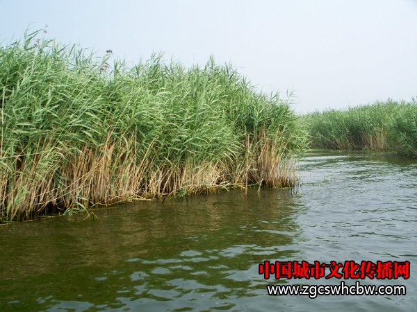 100_8296_meitu_50.jpg