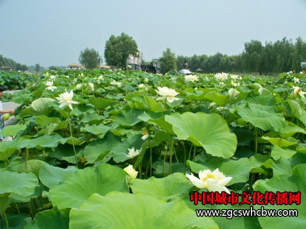 100_8354_meitu_63.jpg