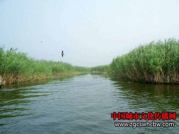 100_8297_meitu_51.jpg