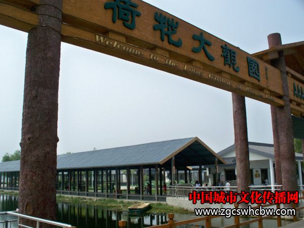 100_8306_meitu_52.jpg