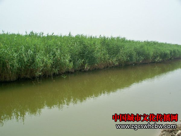 100_8452_meitu_16.jpg