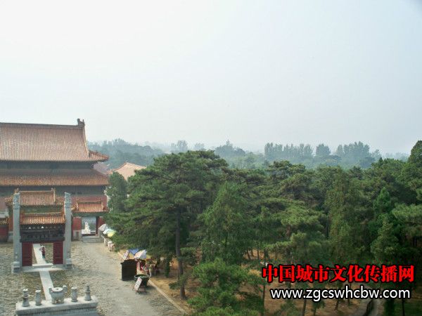 100_8758_meitu_14.jpg
