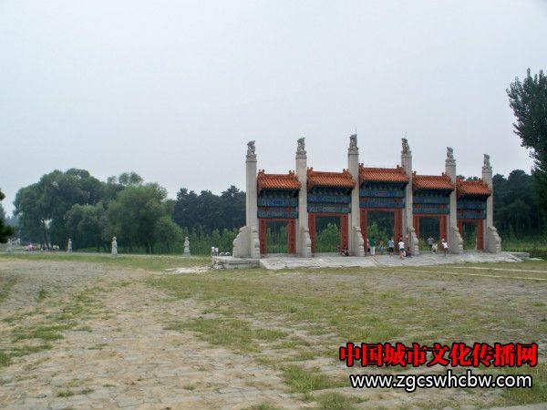 100_8818_meitu_63.jpg