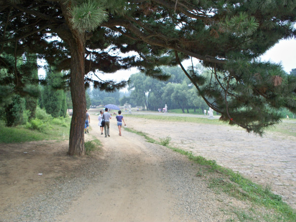 100_8819_meitu_64.jpg