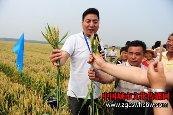 {컯Zya(chn)a(chn)L(fng)1.JPG