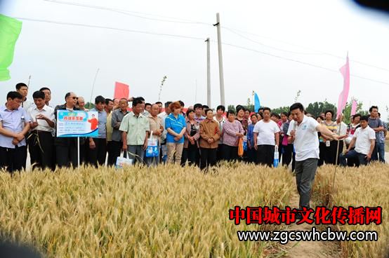 {컯Zya(chn)a(chn)L(fng)2.JPG