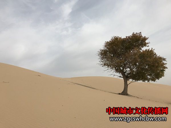 IMG_6243.JPG