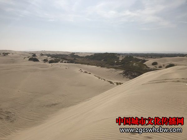 IMG_6182.JPG