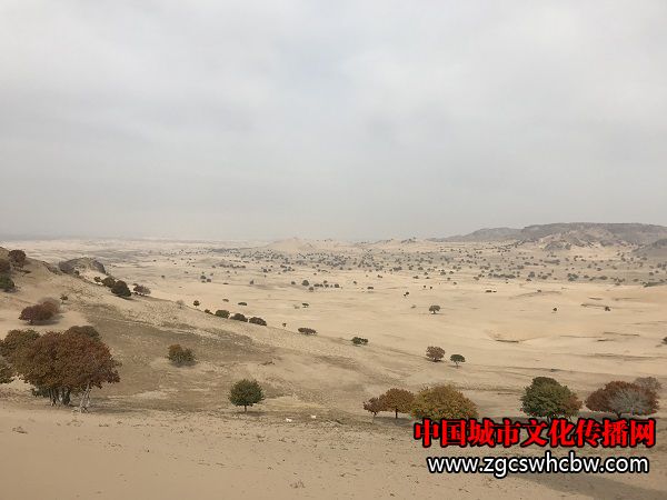 IMG_6247.JPG