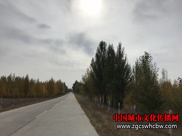 IMG_6199.JPG