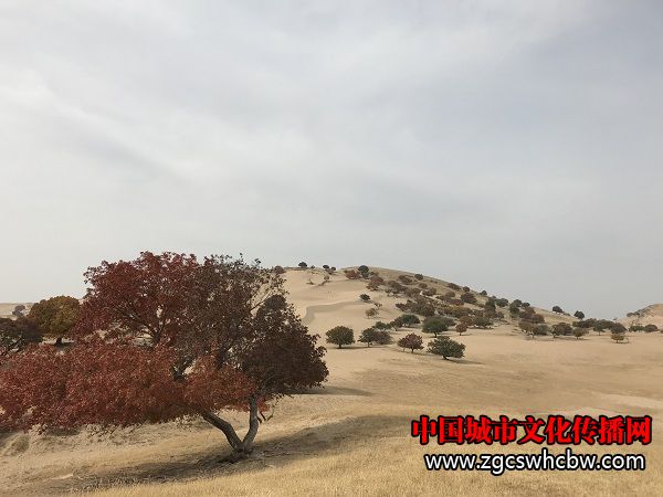 IMG_6210.JPG