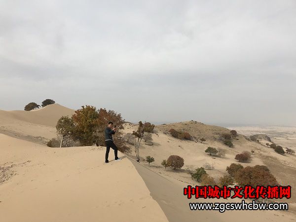 IMG_6249.JPG