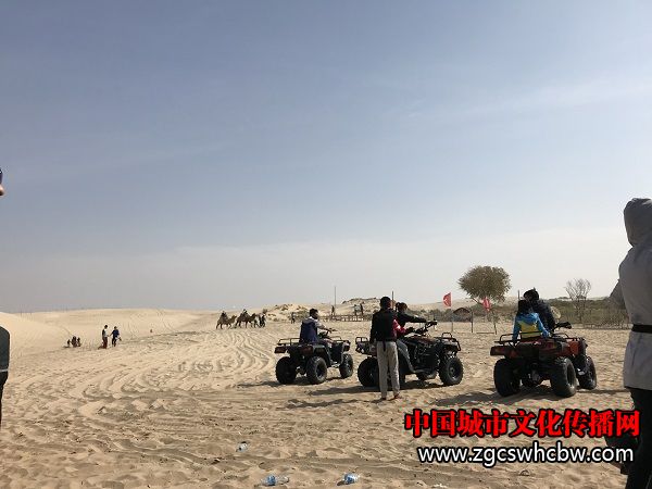 IMG_61911.jpg