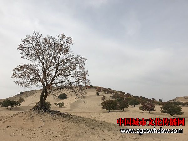 IMG_6214.JPG