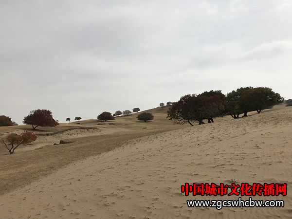 IMG_6217.JPG