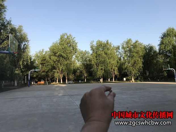 IMG_7516.jpg