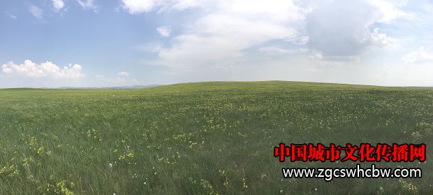 IMG_8299.JPG