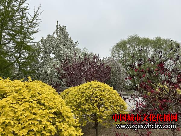 IMG_3889.JPG