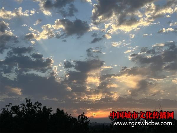 IMG_4542.JPG