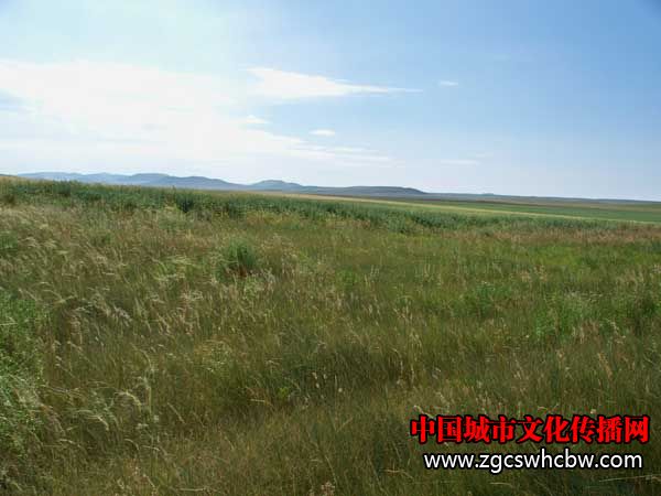 100_6514.JPG