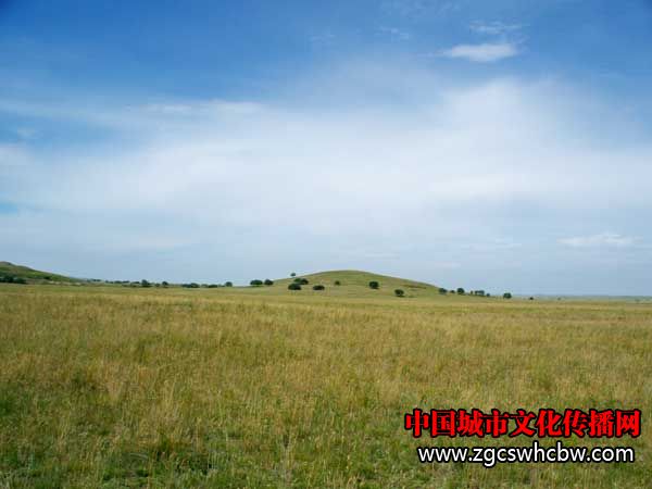 100_6512.JPG