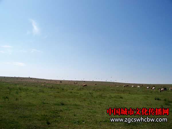 100_6485.JPG
