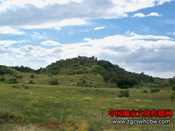 100_6583.JPG