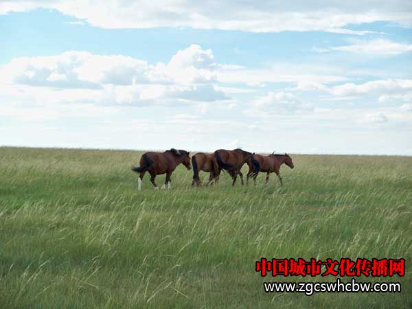 100_6589.JPG
