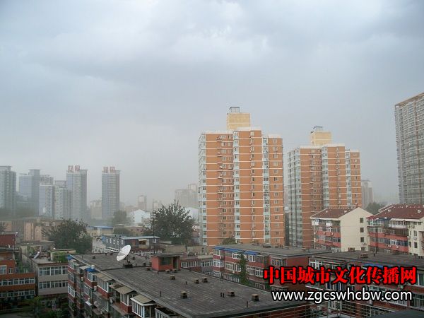 100_6102.JPG